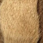 Early Season Elk 5 Early Season Elk - Image 3