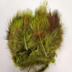Hareline Golden Pheasant Body Feathers -JS Fly Fishing 13431