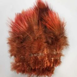 Hareline Golden Pheasant Body Feathers -JS Fly Fishing 13432