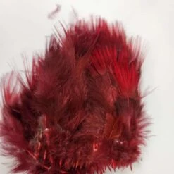 Hareline Golden Pheasant Body Feathers -JS Fly Fishing 13433