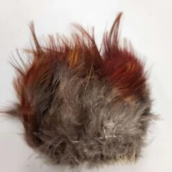 Hareline Golden Pheasant Body Feathers -JS Fly Fishing 13435