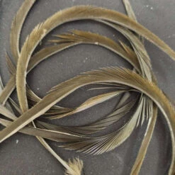 Stripped Goose Biot -JS Fly Fishing 1666874306078