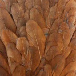 Hareline Hen Saddle -JS Fly Fishing 20221021 122212