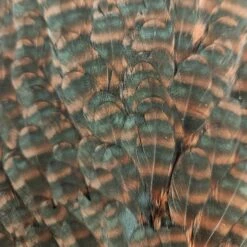 Hareline Hen Saddle -JS Fly Fishing 20221021 122257