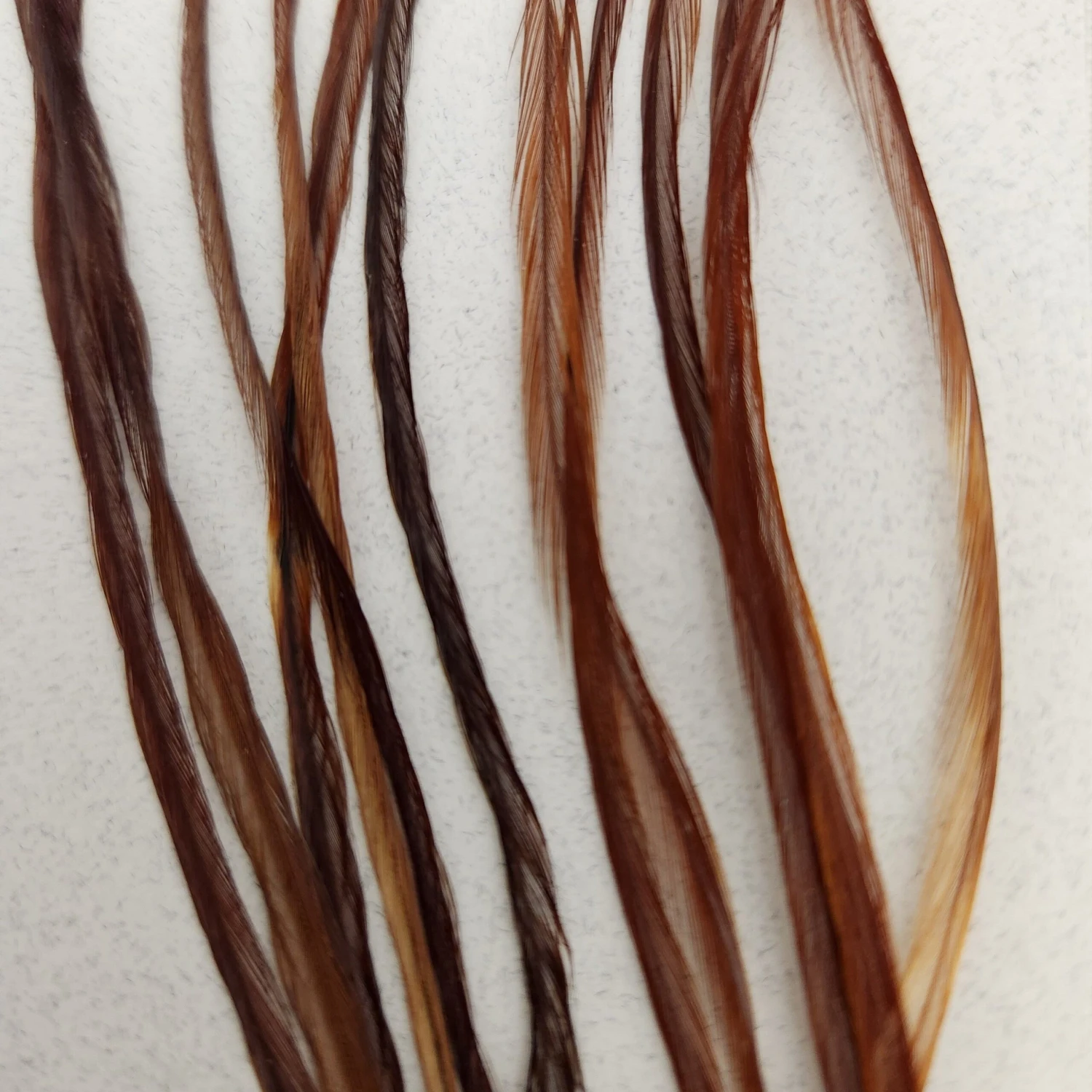 Saddle Value Pack 8 Saddle Value Pack - Image 6