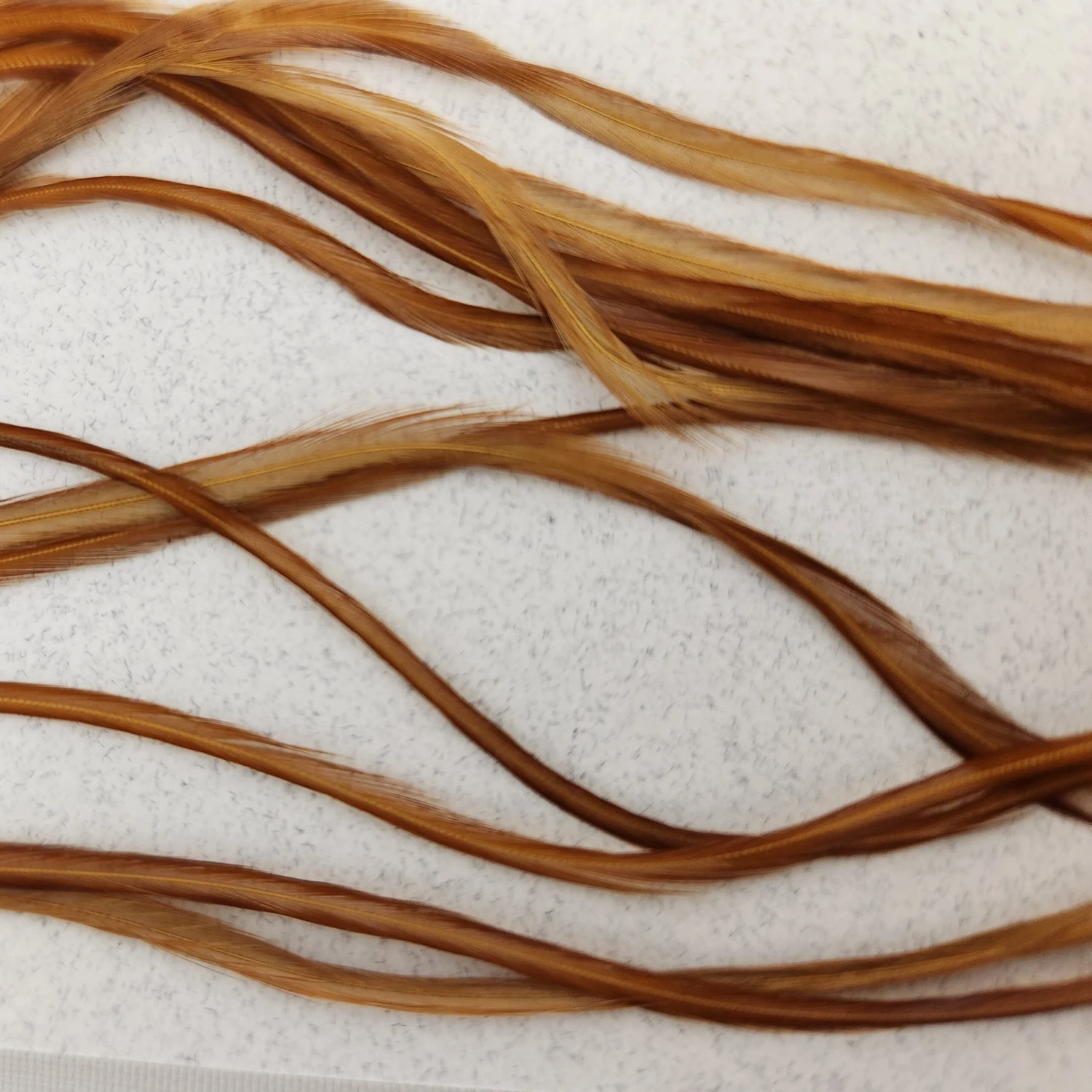 Saddle Value Pack 7 Saddle Value Pack - Image 5