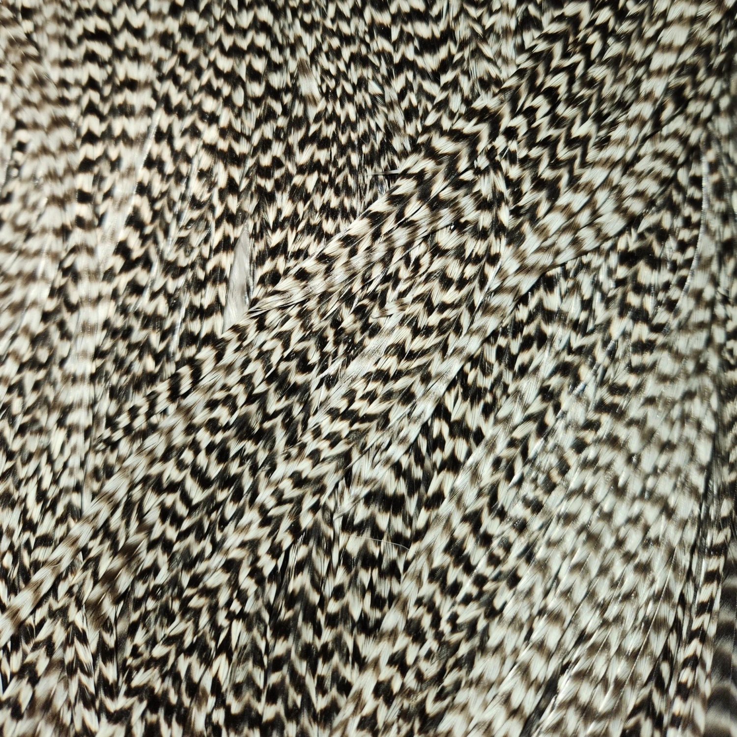 Dry Fly Grizzly Rooster Saddle 4 Dry Fly Grizzly Rooster Saddle - Image 2