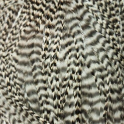 Dry Fly Grizzly Rooster Saddle 7 Dry Fly Grizzly Rooster Saddle -JS Fly Fishing 20221021 141522