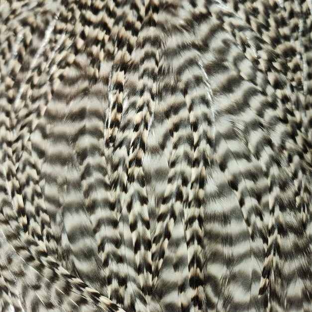 Dry Fly Grizzly Rooster Saddle 5 Dry Fly Grizzly Rooster Saddle - Image 3