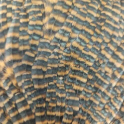 Select Hen Saddle -JS Fly Fishing 20221025 080901