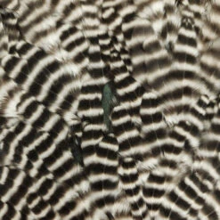 Select Hen Saddle -JS Fly Fishing 20221025 081015