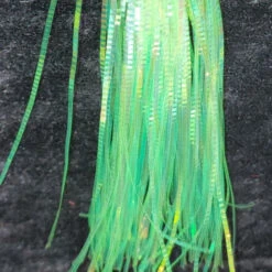 Lateral Scale 27 Lateral Scale -JS Fly Fishing 20221025 132508