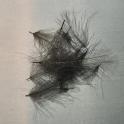 Duck Cul De Canard 27 Duck Cul De Canard -JS Fly Fishing 20221026 085254