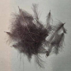 Duck Cul De Canard 28 Duck Cul De Canard -JS Fly Fishing 20221026 085332