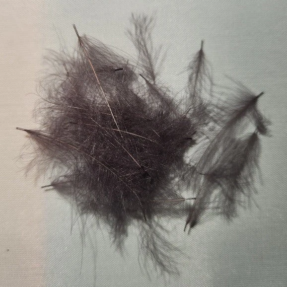 Duck Cul De Canard 9 Duck Cul De Canard - Image 7