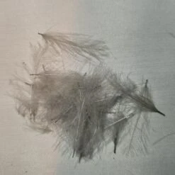 Duck Cul De Canard 30 Duck Cul De Canard -JS Fly Fishing 20221026 085614 974aa520 f8c6 4e0f b9cb 928d3b4b3dbd