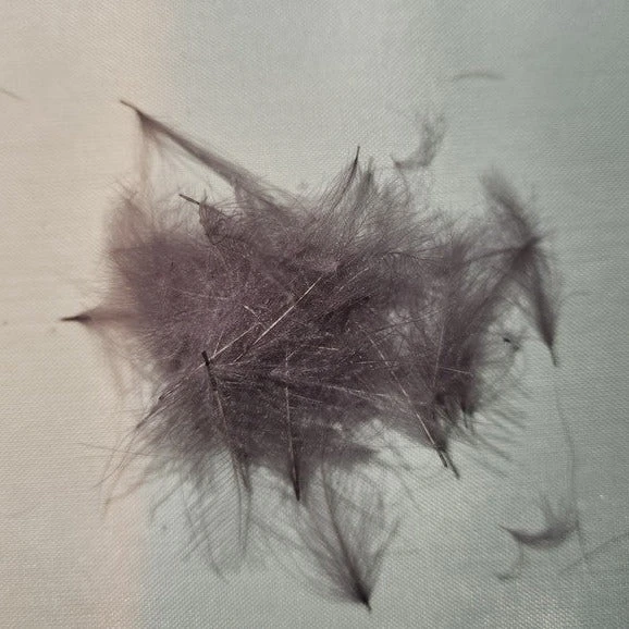 Duck Cul De Canard 14 Duck Cul De Canard - Image 12