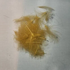 Duck Cul De Canard 39 Duck Cul De Canard -JS Fly Fishing 20221026 092205