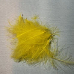 Duck Cul De Canard 41 Duck Cul De Canard -JS Fly Fishing 20221026 092327