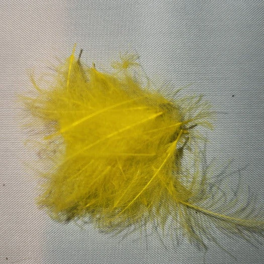 Duck Cul De Canard 22 Duck Cul De Canard - Image 20