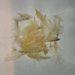 Duck Cul De Canard 38 Duck Cul De Canard -JS Fly Fishing 20221026 111334