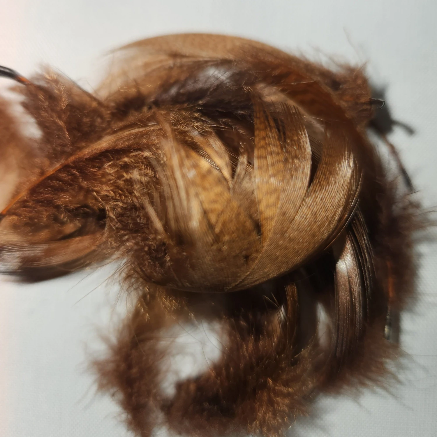 Mallard Flank 4 Mallard Flank - Image 2