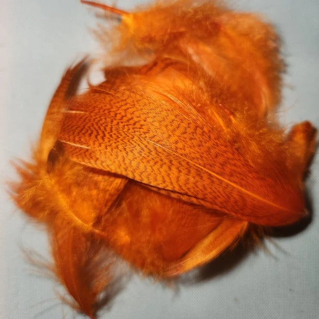 Mallard Flank 12 Mallard Flank - Image 10