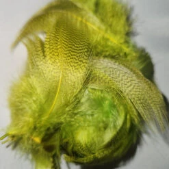 Mallard Flank 28 Mallard Flank -JS Fly Fishing 20221026 113810