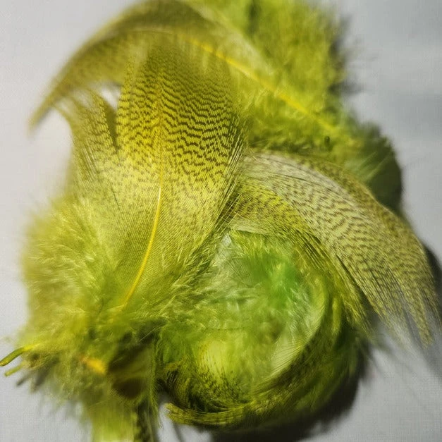 Mallard Flank 13 Mallard Flank - Image 11