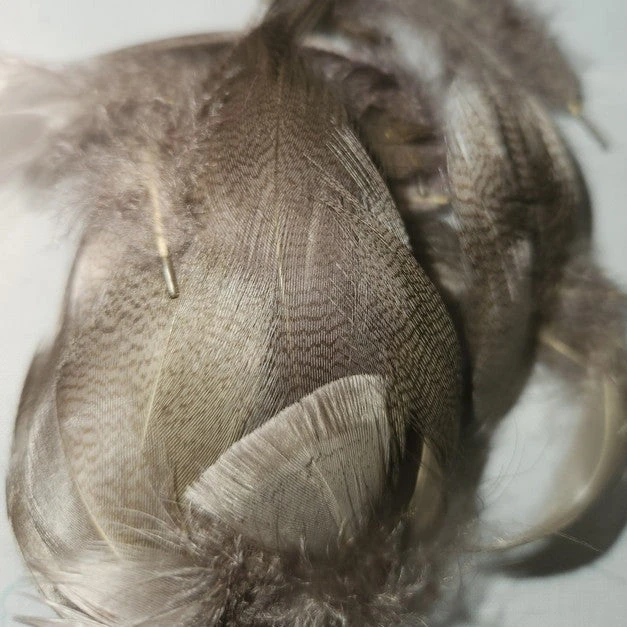 Mallard Flank 14 Mallard Flank - Image 12