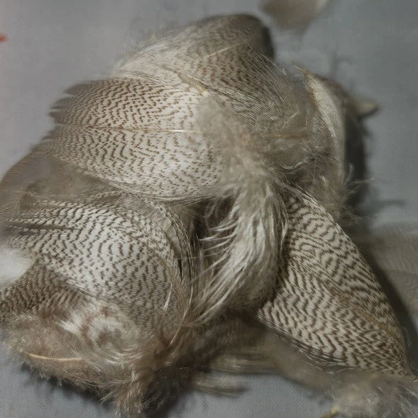 Mallard Flank 15 Mallard Flank - Image 13