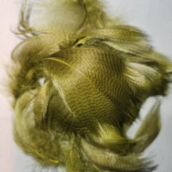 Mallard Flank 31 Mallard Flank -JS Fly Fishing 20221026 114151