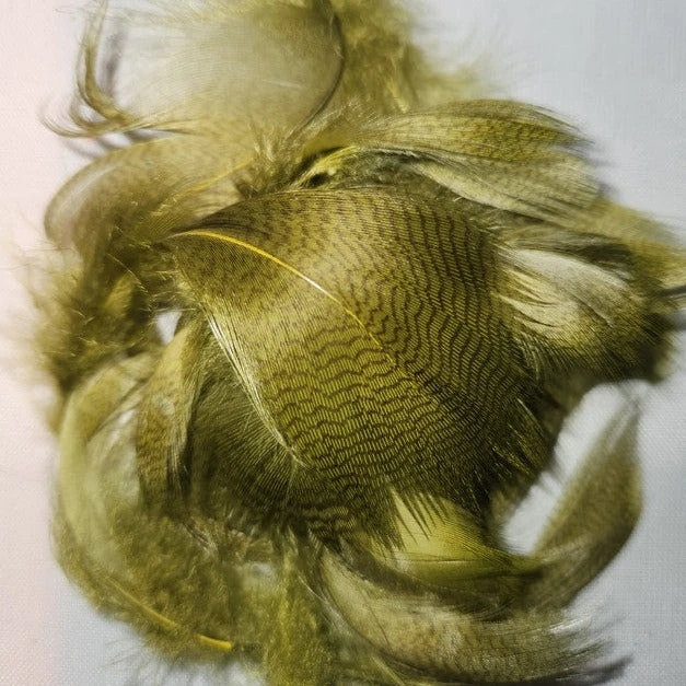 Mallard Flank 16 Mallard Flank - Image 14