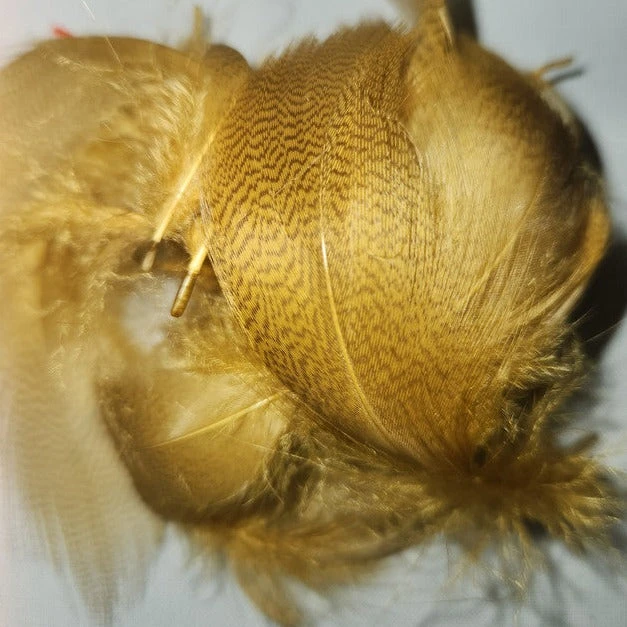 Mallard Flank 17 Mallard Flank - Image 15