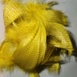 Mallard Flank 33 Mallard Flank -JS Fly Fishing 20221026 114519