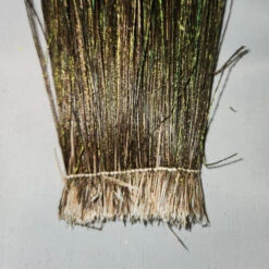 Peacock Strung Herl 8 Peacock Strung Herl -JS Fly Fishing 20221026 125016