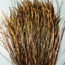 Dyed Peacock Strung Herl 15 Dyed Peacock Strung Herl -JS Fly Fishing 20221026 130434