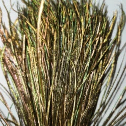 Dyed Peacock Strung Herl 16 Dyed Peacock Strung Herl -JS Fly Fishing 20221026 130748