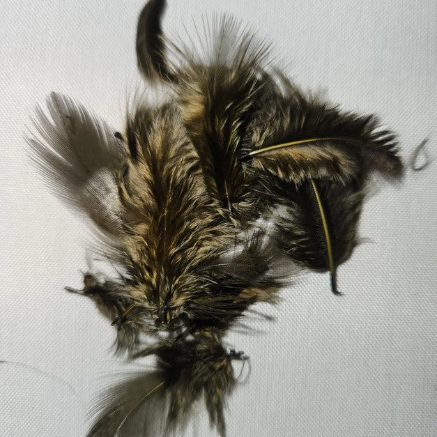 Premium Partridge 5 Premium Partridge - Image 3