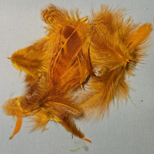 Premium Partridge 13 Premium Partridge - Image 11