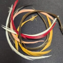 Stripped Goose Biot -JS Fly Fishing 20221027 084105