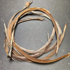 Stripped Goose Biot -JS Fly Fishing 20221027 084704