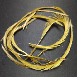 Stripped Goose Biot -JS Fly Fishing 20221027 090004