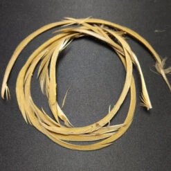 Stripped Goose Biot -JS Fly Fishing 20221027 090220