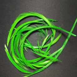 Stripped Goose Biot -JS Fly Fishing 20221027 090419