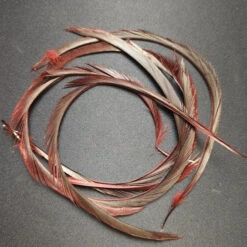 Stripped Goose Biot -JS Fly Fishing 20221027 090624