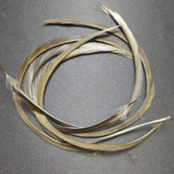 Stripped Goose Biot -JS Fly Fishing 20221027 090806