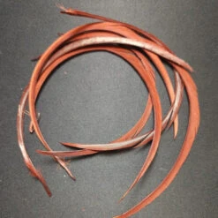 Stripped Goose Biot -JS Fly Fishing 20221027 091108