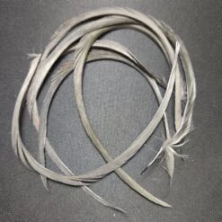 Stripped Goose Biot -JS Fly Fishing 20221027 091216