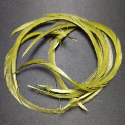 Stripped Goose Biot -JS Fly Fishing 20221027 091311